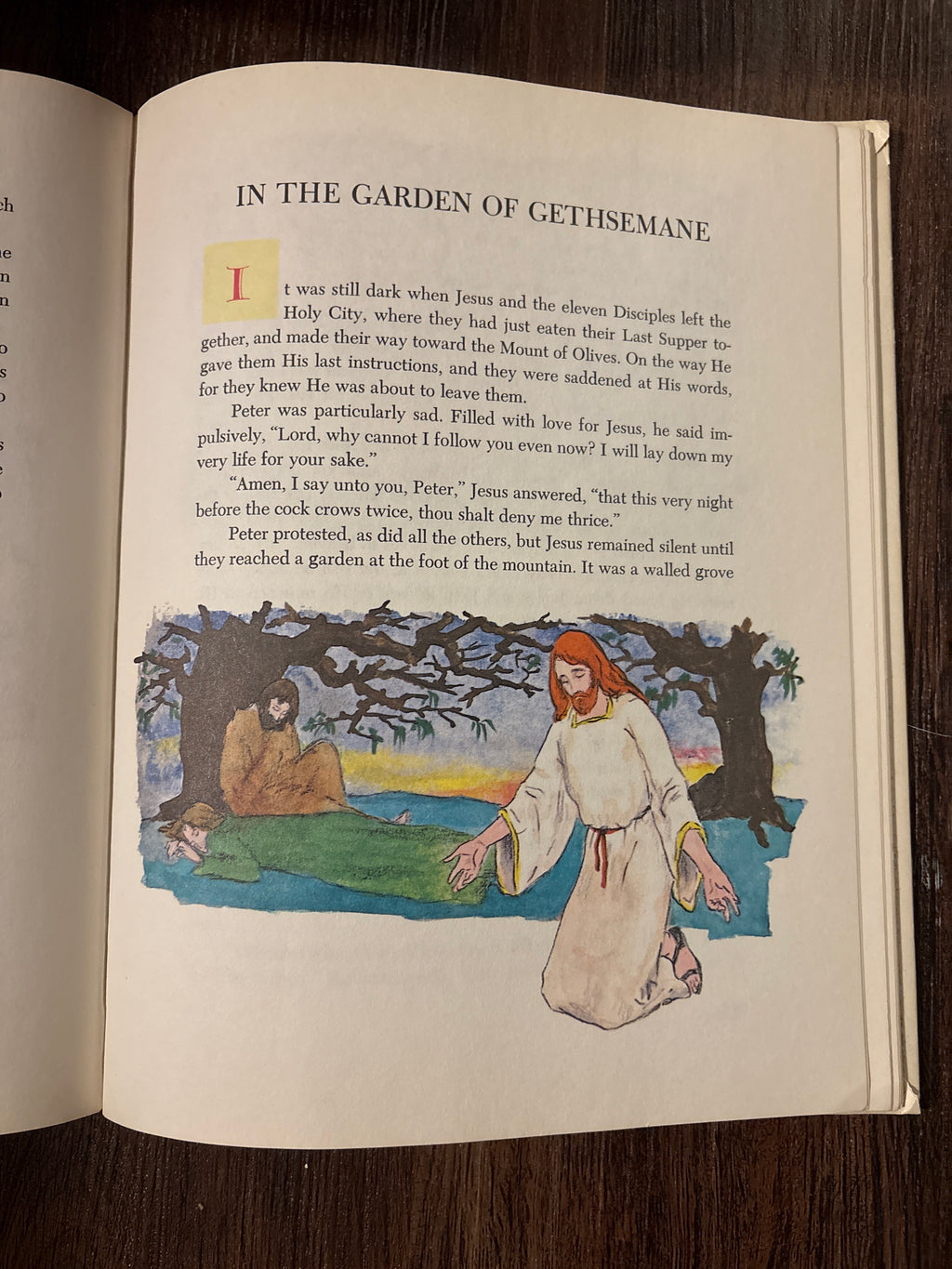 Children’s Stories of the Bible from the Old and New Testament    Deluxe Edition