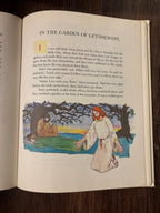Children’s Stories of the Bible from the Old and New Testament    Deluxe Edition