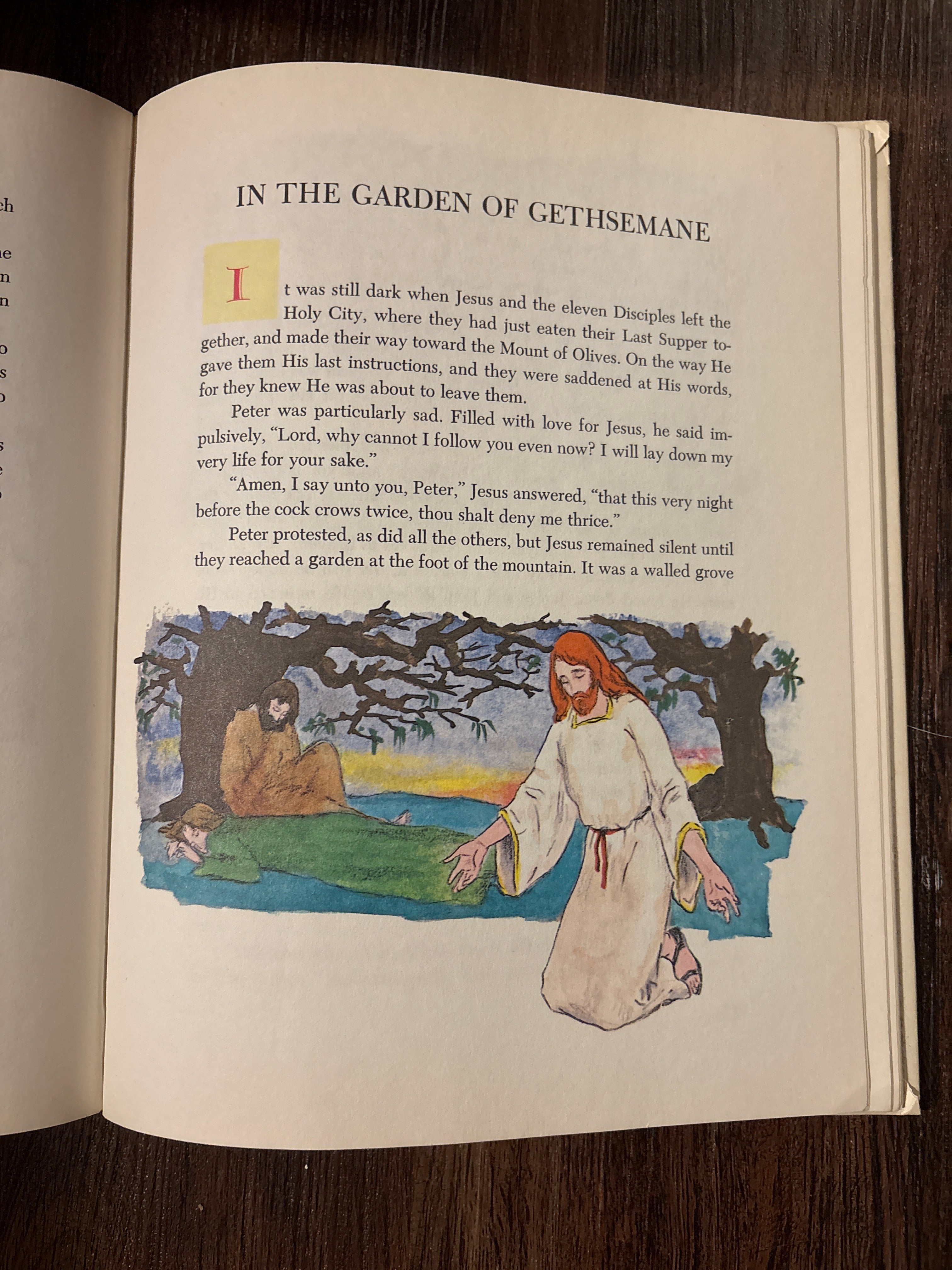 Children’s Stories of the Bible from the Old and New Testament    Deluxe Edition