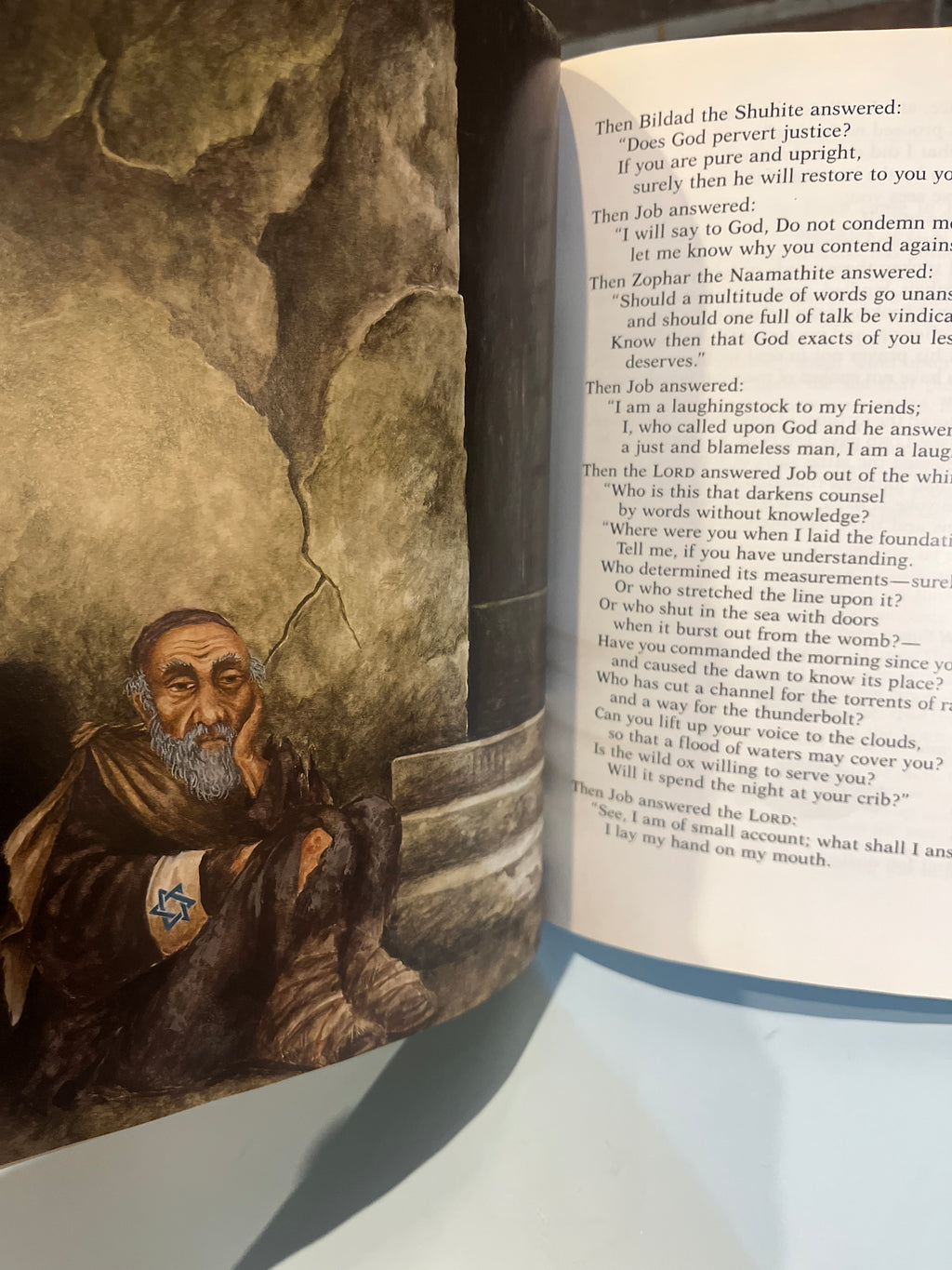 Augsburg Story Bible.  Illustrated by Annegert Fuchshuber