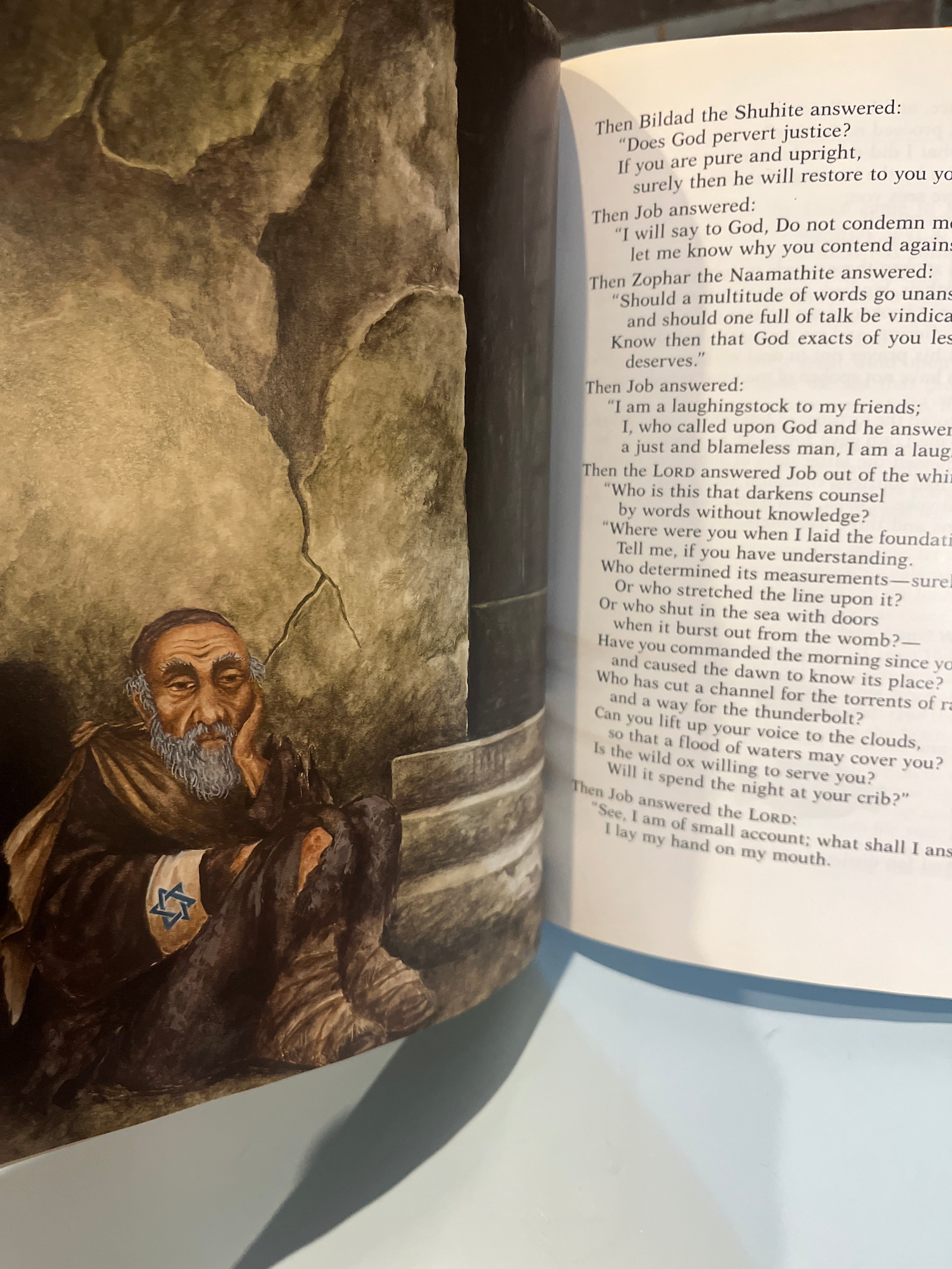 Augsburg Story Bible.  Illustrated by Annegert Fuchshuber