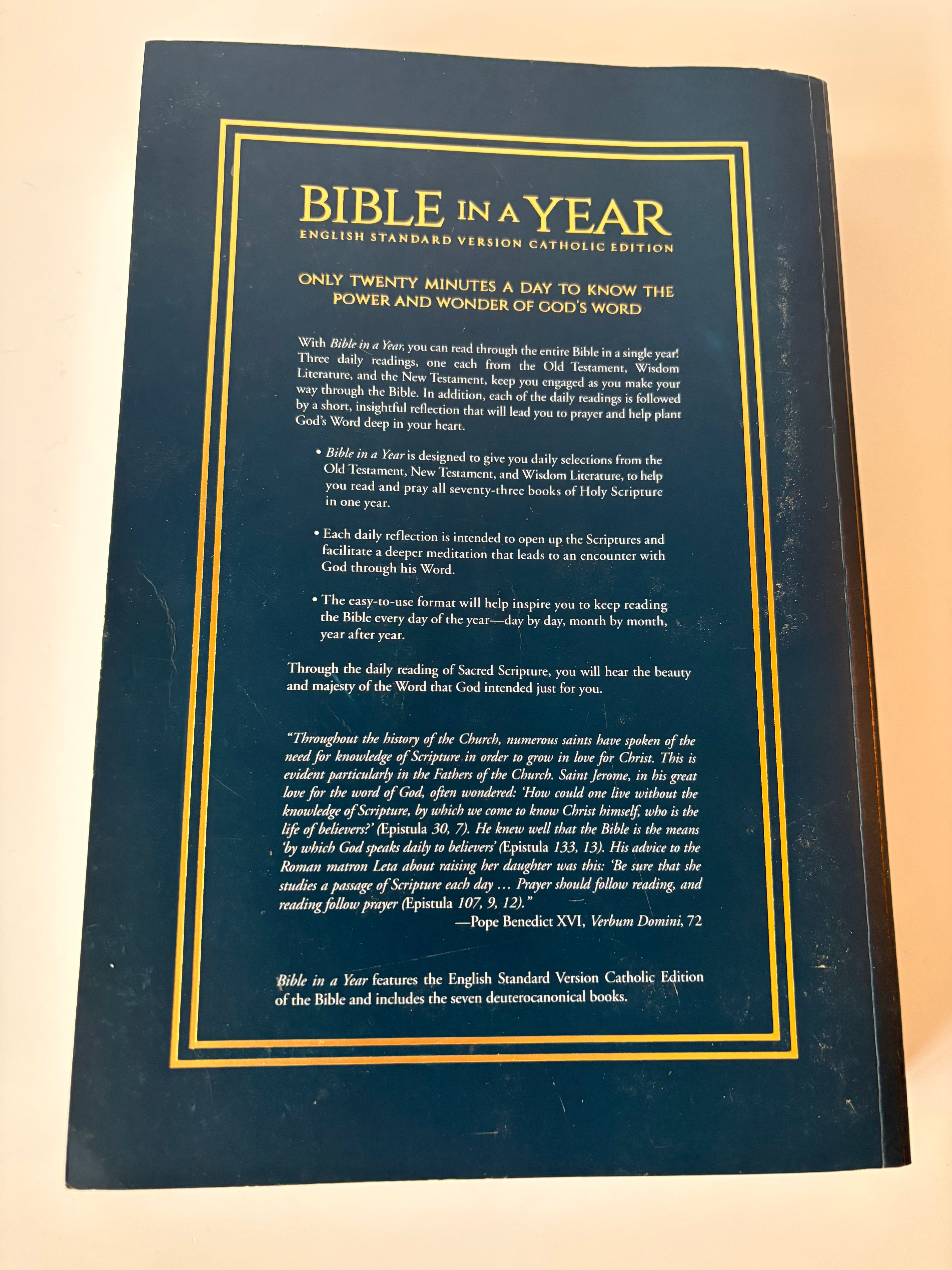 Bible in a Year – ESV Catholic Edition – Tree of Life Paperback Cover Optoon