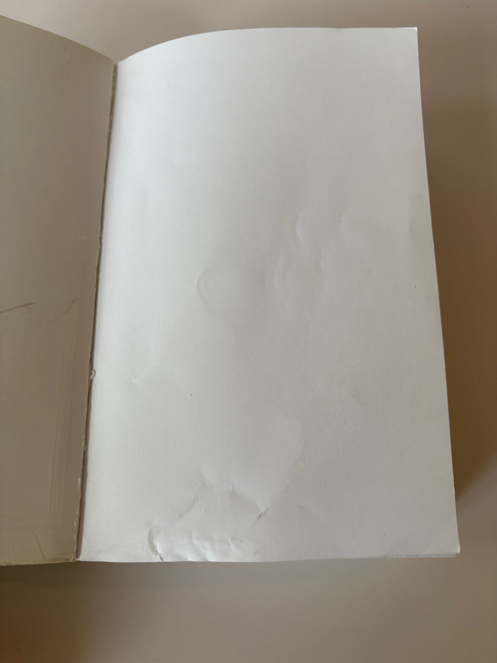 Bible in a Year – ESV Catholic Edition – Tree of Life Paperback Cover Optoon