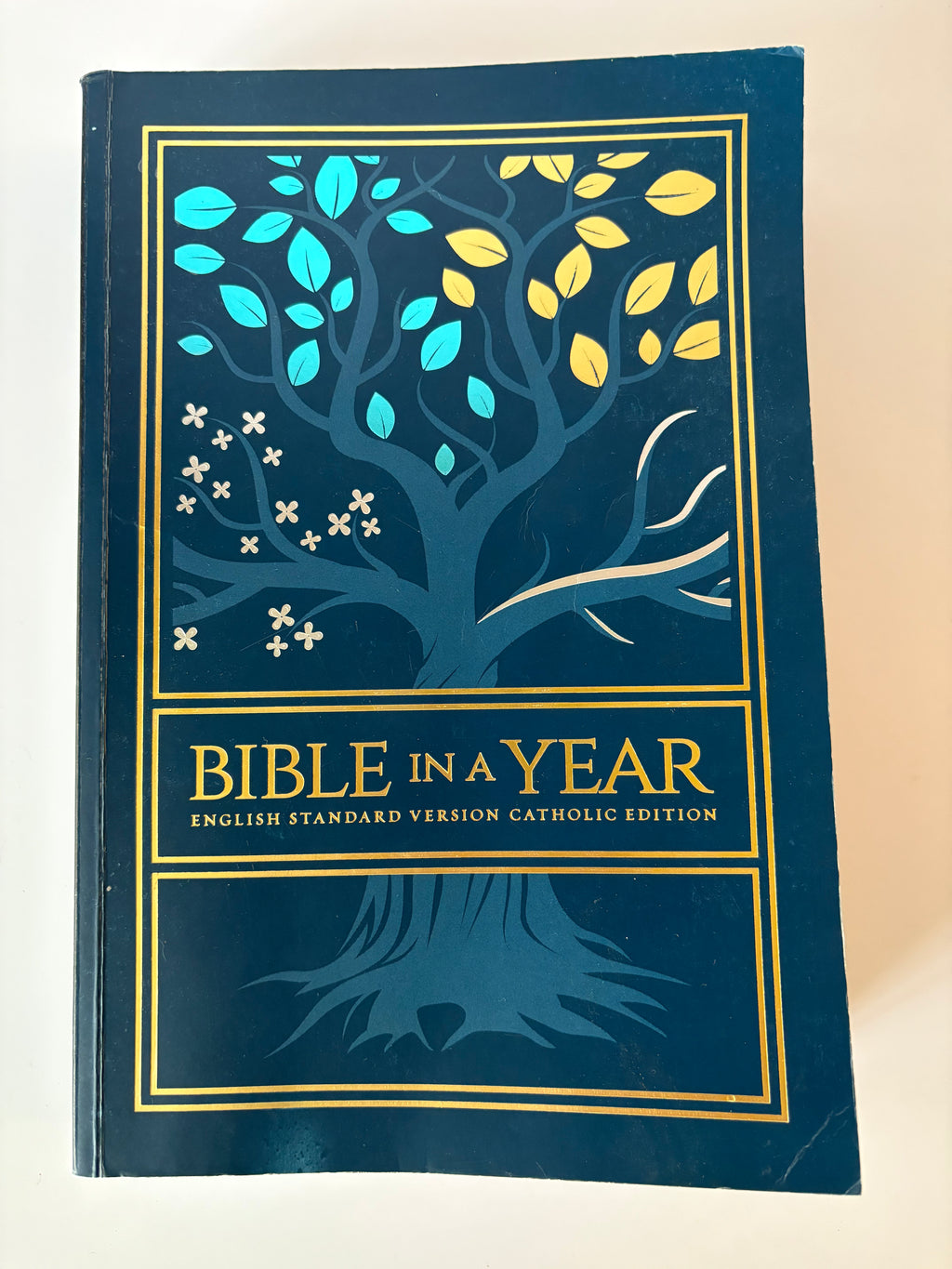 Bible in a Year – ESV Catholic Edition – Tree of Life Paperback Cover Optoon