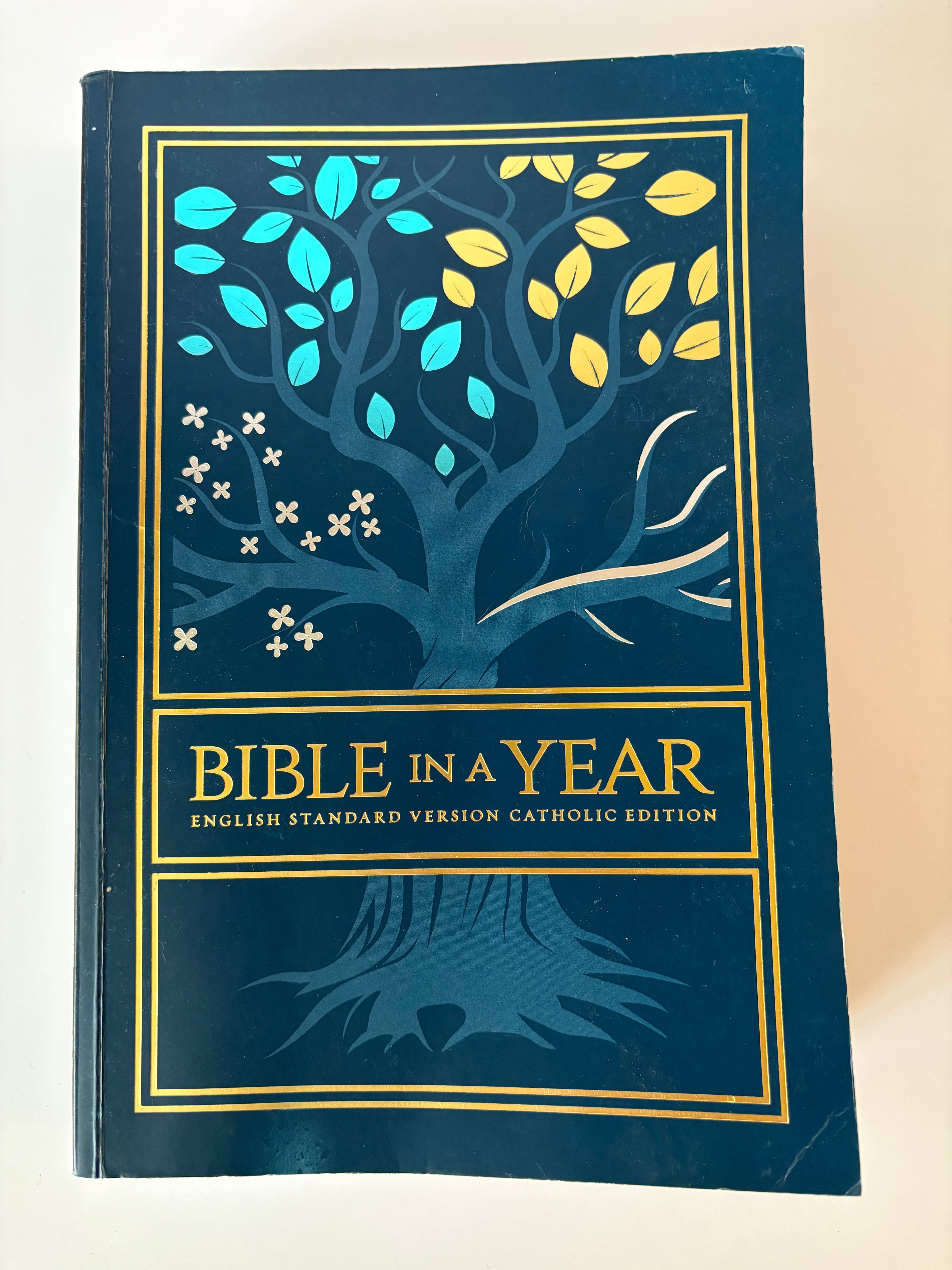 Bible in a Year – ESV Catholic Edition – Tree of Life Paperback Cover Optoon
